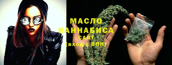 молекула духа Богородицк