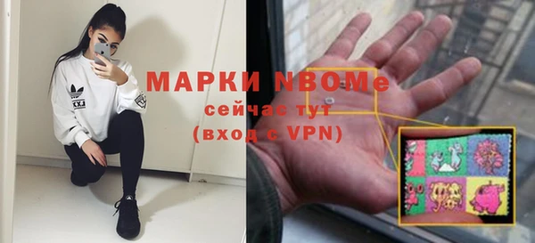 индика Бугульма
