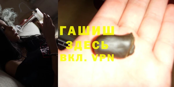 молекула духа Богородицк