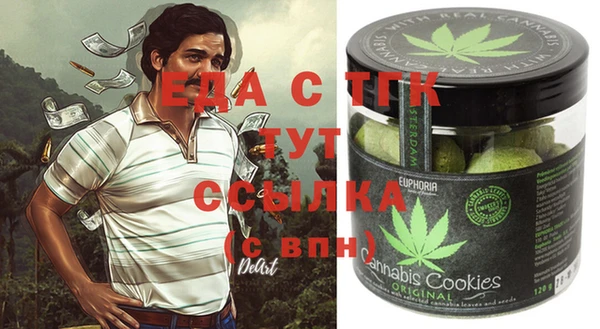 индика Бугульма