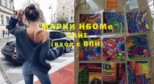 молекула духа Богородицк