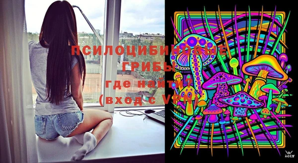индика Бугульма