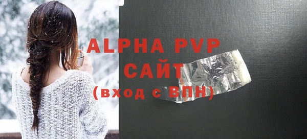 молекула духа Богородицк