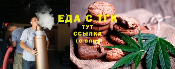 индика Бугульма